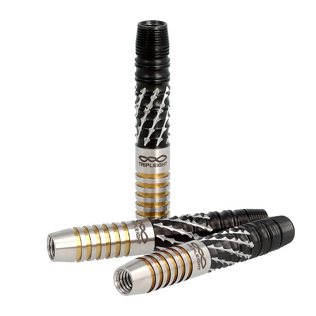 DYNASTY(ダイナスティー) ASTRA DARTS TRIPLEIGHT DRAGOON(ドラグーン) 2BA 森窪龍...