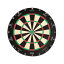 TARGET(ターゲット) ASPAR(アスパー) PROFESSIONAL DARTBOARD ＜440015＞　(ダーツ ボード)