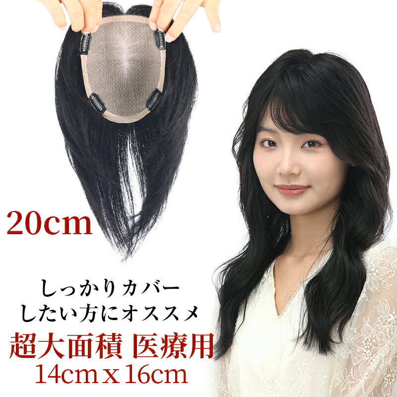 【試着可能 返品OK】ロング人毛100％ 部分ウィッグ 艶髪 面積大きめ しっかりカバー ボリュームアップ バージンヘア ウィッグ かつら ポイントウィッグ つけ毛 女性 レディース つむじ付き 自然 ナチュラル ヘアピース 頭頂部 白髪隠し 白髪カバー ストレート 3d 3D