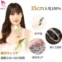 「返品OK」 部分ウィッグ ウィッグ 人毛100％ 総手植え ミセス 自然 頭頂部 ヘアピース 薄毛 白髪隠し 前髪 女性用 かつら 脱毛 トップカバー 女性 つむじ レディース ポイントウィッグ ワンタッチ 滑り止め ミセス ウイッグ HIYE 送料無料xxy-d914-35 その1