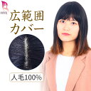 【楽天4位獲得】部分ウィッグ 人毛1