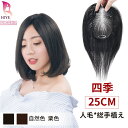 【夏 メッシュタイプ】部分 ウィッグ 自然 夏用 通気性 人毛100% 薄毛 白髪隠し 総手植え つけ毛 頭頂部 ナチュラル 分け目 増毛 ヘアピース 軽量 脱...