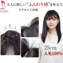 【新作!返品交換OK】部分ウィッグ 人毛 つむじ 自然 25cm つむじ付き 前髪ウィッグ バレない 白髪隠し 抜毛症 増毛 前髪 あり 小顔 ヘアピース カツ...