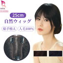「T型メッシュネット」部分ウィッグ 人毛100% 自然 分け目 総手植え 超通気 増毛 かつら ミセス 白髪隠し 付け毛 薄毛 脱毛 トップカバー つけ毛 簡単...