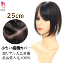 パール化研 パールクィーン パウダーヘアファンデーション 【　ブラウン　】　8g　｜　ヘアスタイリング剤 / 薄毛隠し　｜　ヘアファンデーション 薄毛 禿げ はげ 白髪隠し 増毛粉 増毛パウダー 分け目 【PK】