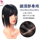 返品OK【楽天2位獲得】ヘアピース 