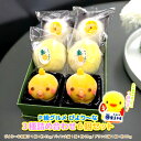 合名会社 丸初製菓本舗 P級グルメ Dセット 大福詰め合わせ6個セット