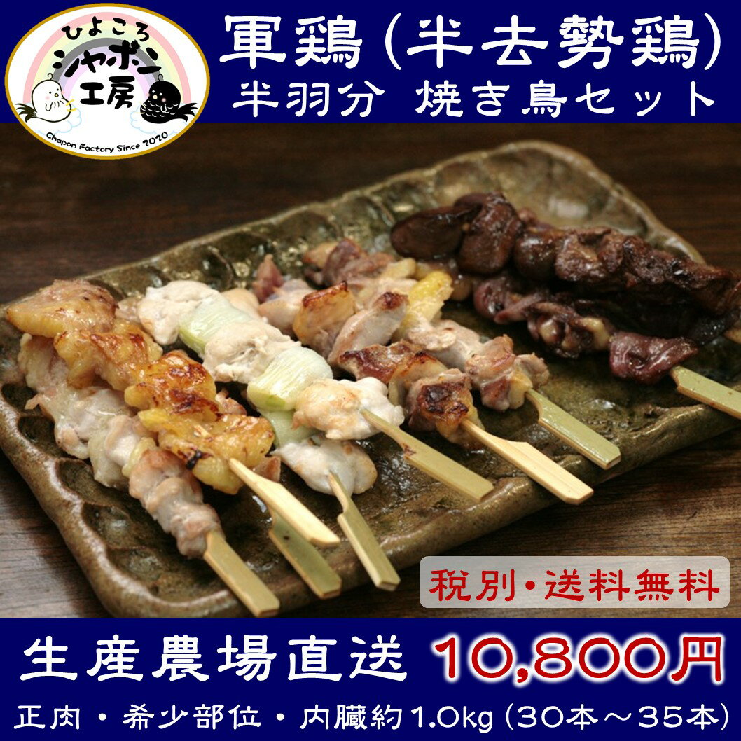 ※送料無料※【雌鶏内臓串1袋(3本入)おまけ付】放牧軍鶏(半去勢鶏)半羽分焼き鳥セット(総計約1.0kg)=30本以上=