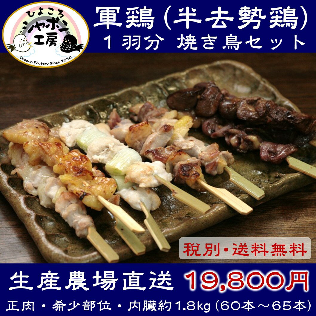 ※送料無料※放牧軍鶏(半去勢鶏)まるっと焼き鳥セット(総計約1.8kg)=60本以上=