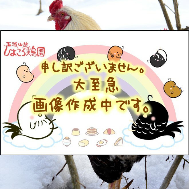 ※送料無料 プリプリ若軍鶏メス 丸っと一羽分焼き鳥セット(総計約1.3kg)38～42本=※2023年春新商品