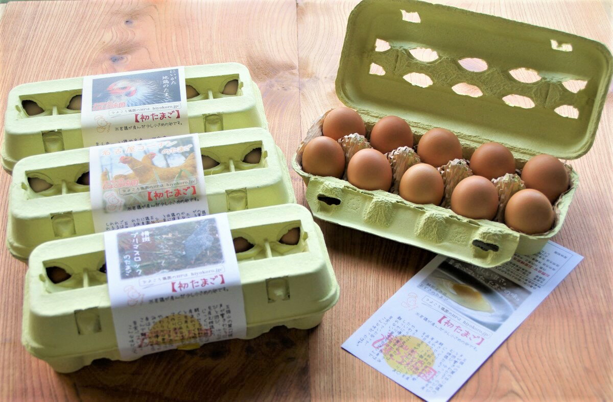 ひよころ鶏園の若鶏が産んだ『初産みたまご』おまかせ40個セット〈※未洗卵・孵化用での発送は楽天市場店では対応しておりません〉のサムネイル