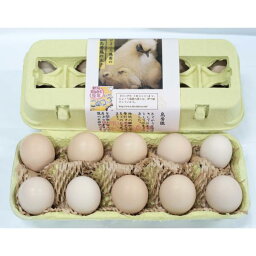 ☆セール中☆純系烏骨鶏の平飼い有精卵10個入〈※未洗卵・孵化用での発送は楽天市場店では対応しておりません〉