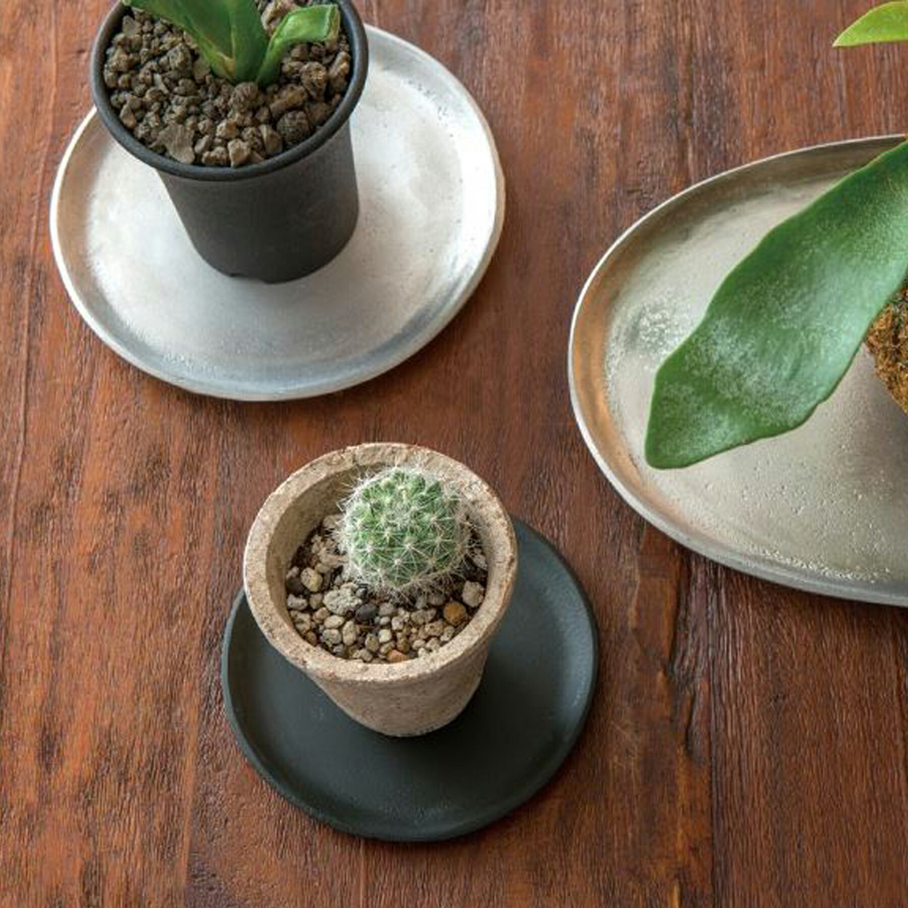 ラウンドプレート 2枚セット 直径10cm 皿 受け皿 鉢皿 丸皿 円形 植木鉢 ガーデニング グリーン 観葉植..