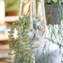 フェイクグリーン 人工観葉植物 ワイヤープランツ インテリア 造花 観葉植物 デコレーション 模様替え モダンリビング ナチュラル 緑のある暮らし 装飾 北欧 ...