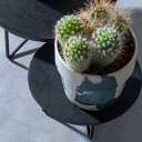 【サークルスコンポート スタンド 直径15cm ブラック 】 ウッド 丸型 円形 ラウンド 木製 花置き台 展示台 ガーデニング グリーン 観葉植物 マンゴーウ...