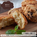 スコーン詰め合わせ 12個 スコーン ギフト 焼き菓子 贈答品 スコーン お菓子詰め合わせ 手土産 朝食 おやつ