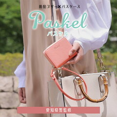 https://thumbnail.image.rakuten.co.jp/@0_mall/hiyoshi/cabinet/paskel/pass001.jpg