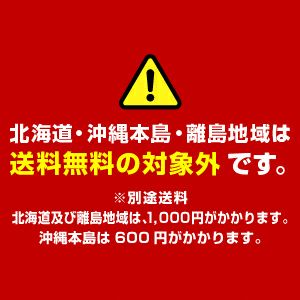 芋焼酎 我が生涯に一片の悔い無し 業務用 900ml×12本セット（ラオウ）（送料無料・5％OFF）【業務用セット お得 まとめ買い】 2