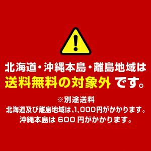 光武酒造場　楽天市場店の焼き芋焼酎 魔界への誘い 業務用 1,800ml×6本セット（送料無料）（5％OFF）【業務用セット まとめ買い お得】｜アングル2