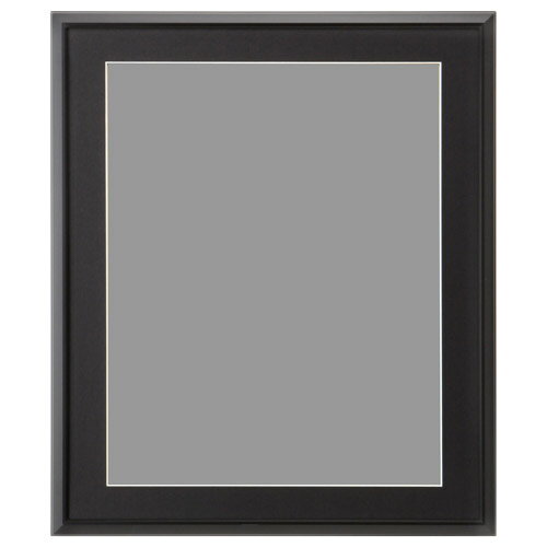樂天商城 - ハクバ アルミ額縁 AG-02 半切サイズ ブラック FAG2-BKH 4977187489163 フォトフレーム おしゃれ 壁掛け