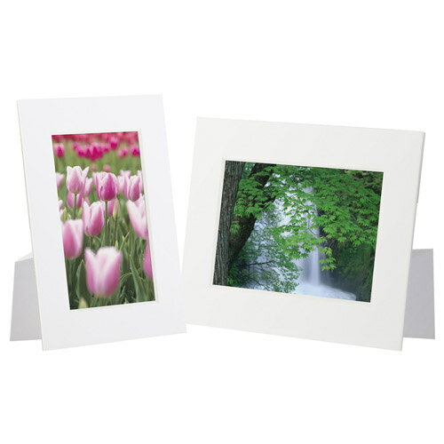 ハクバ カラーペーパースタンド Lサイズ ホワイト MCPS-LWT 4977187664621 [2]