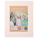ハクバ インサートカラーペーパースタンド 2Lサイズ ライトピンク MICPS-2LLP 4977187664300