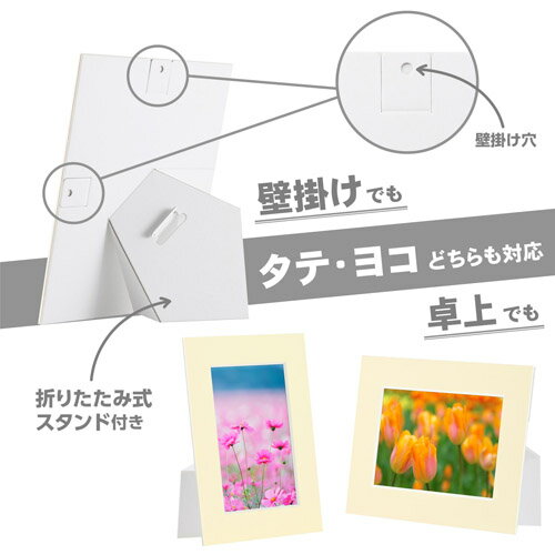 ハクバ インサートカラーペーパースタンド Lサイズ クリーム MICPS-LCR 4977187664126 [2]