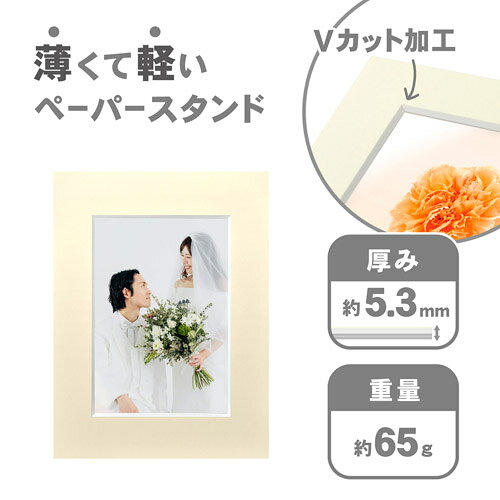 ハクバ インサートカラーペーパースタンド Lサイズ クリーム MICPS-LCR 4977187664126 [3]