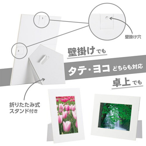 ハクバ インサートカラーペーパースタンド Lサイズ ホワイト MICPS-LWT 4977187664133 [2]