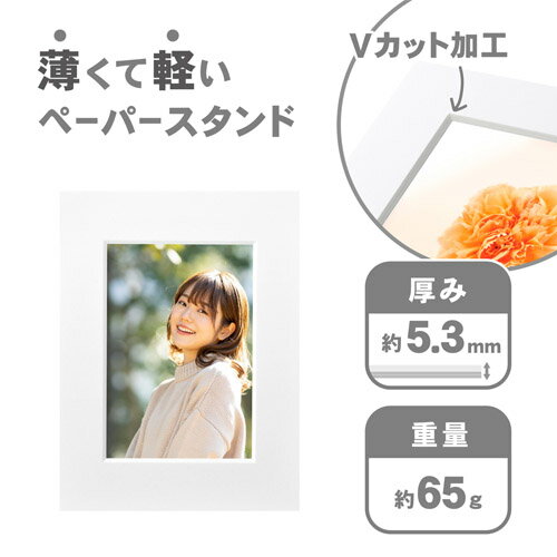 ハクバ インサートカラーペーパースタンド Lサイズ ホワイト MICPS-LWT 4977187664133 [3]