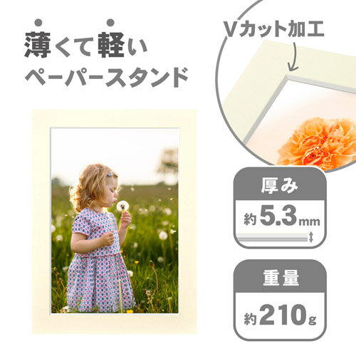 ハクバ インサートカラーペーパースタンド A4サイズ クリーム MICPS-A4CR 49771876...