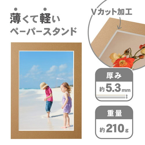 ハクバ インサートカラーペーパースタンド A4サイズ ブラウン MICPS-A4BR 49771876...