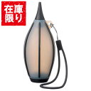 【アウトレット 訳あり特価】ハクバ クリアブロアー M ブラック KMC-94BK 4977187329490 メンテナンス クリーニング 大容量 シリコン製
