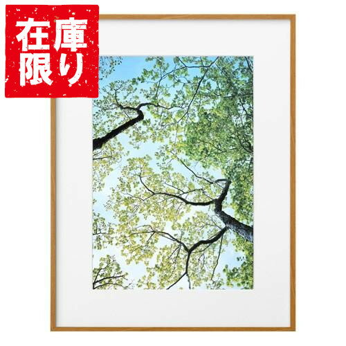 【アウトレット 訳あり特価】ハクバ HAKUBA ZEROフレーム G-01 A3 ナチュラル FZG01-A3NT 497718748726..