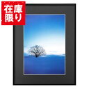 【アウトレット 訳あり特価】ハクバ HAKUBA ZEROフレーム G-01 A3 ブラック FZG01-A3BK 4977187487350 額縁 フォトフレ...