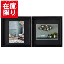 【アウトレット 訳あり特価】ハクバ フォトフレーム tetra(テトラ) 2Lサイズ 2面 ブラック FSQTT-BK2L2 4977187491876 額縁 ...