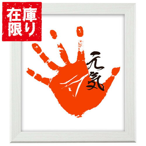 【アウトレット 訳あり特価】ハクバ 色紙額 SG-02 ホワイト FWSG-02WT 4977187508284 幅広マットで写真と寄せ書きも 贈り物 プレゼン...