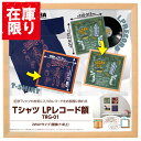 【アウトレット 訳あり特価】ハクバ Tシャツ・LPレコード額 TRG-01 ナチュラル FWTRG-01NT 4977187510119 レコードジャケット 額縁 額装 フレーム 壁掛け スタンド付き