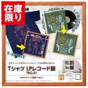 【アウトレット 訳あり特価】ハクバ Tシャツ・LPレコード額 TRG-01 ブラウン FWTRG-01BR 4977187510126 レコードジャケット 額縁 額装 フレーム 壁掛け スタンド付き