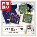 【アウトレット 訳あり特価】ハクバ Tシャツ・LPレコード額 TRG-01 ホワイト FWTRG-01WT 4977187510133 レコードジャケット 額縁 額装 フレーム 壁掛け スタンド付き