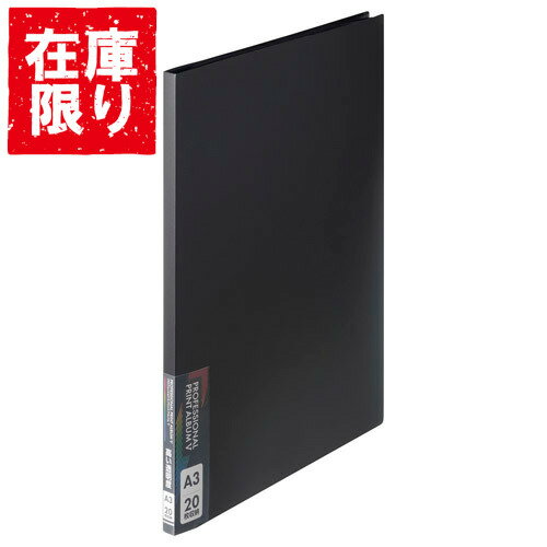 楽天市場】プロフェッショナルプリントアルバムiiiの通販