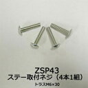 【ゆうパケット280】 カーメイト トラスネジ（M6×30／4本） 補修パーツ 【ZSP43】