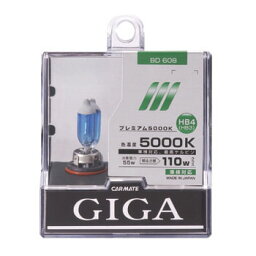 GIGALUX ハロゲンバルブ プレミアム5000K HB 55W 【BD608】