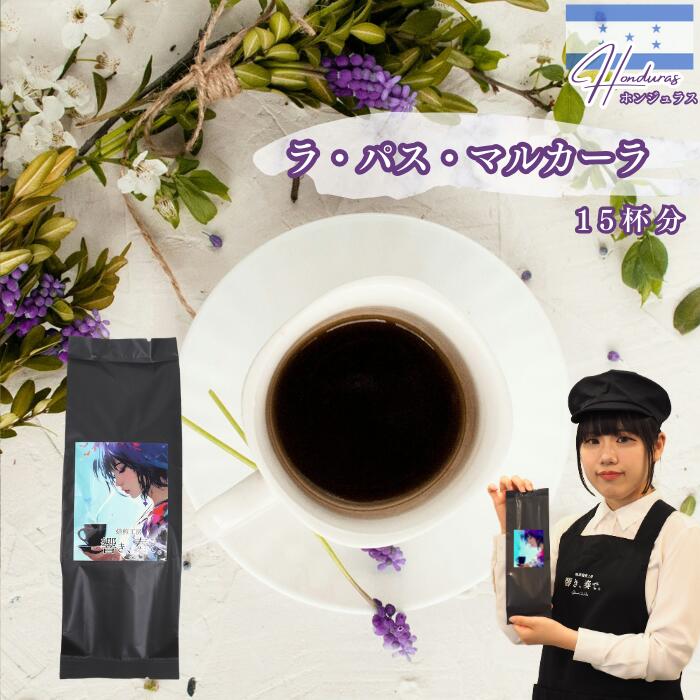 1000�ߤݤä��� �ۥ󥸥�饹 ��ѥ� �ޥ륫���� �����ҡ�Ʀ 15��ʬ 150g ���ڥ����ƥ� �����ҡ� ����̵�� Ʀ �����ҡ�ʴ ���� ����Ʀ �����դ� �Ƥ����� ���