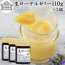 生ローヤルゼリー 110g×3個 ローヤルゼリー ロイヤルゼリー 100% 冷凍 保存料 無添加 業務用 王乳 サプリ サプリメント デセン酸 必須アミノ酸 たんぱく質 ビタミン B1 B2 B6 ナイアシン パントテン酸 ミネラル カリウム マグネシウム カルシウム 銅 鉄 リン 葉酸 健康 食品