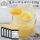 生ローヤルゼリー 110g×5個 ローヤルゼリー ロイヤルゼリー 100% 冷凍 保存料 無添加 業務用 王乳 サプリ サプリメント デセン酸 必須アミノ酸 たんぱく質 ビタミン B1 B2 B6 ナイアシン パントテン酸 ミネラル カリウム マグネシウム カルシウム 銅 鉄 リン 葉酸 健康 食品