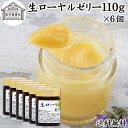生ローヤルゼリー 110g×6個 ローヤルゼリー ロイヤルゼリー 100% 冷凍 保存料 無添加 業務用 王乳 サプリ サプリメント デセン酸 必須アミノ酸 たんぱく質 ビタミン B1 B2 B6 ナイアシン パントテン酸 ミネラル カリウム マグネシウム カルシウム 銅 鉄 リン 葉酸 健康 食品