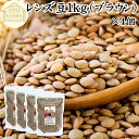 レンズ豆 ブラウン 1kg×4個 レンズマメ 100% 薄皮付 アメリカ産 皮つき レンティル レンチル ヒラマメ 保存料 無添加 乾燥豆 業務用 たんぱく質 ...