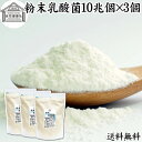 粉末乳酸菌 10兆個 1kg×3個 フェカリス菌 サプリ サプリメント パウダー 乳酸菌 粉末 送料無料 プロバイオティクス 菌活 腸活 腸内フローラ 乳酸菌 ...
