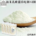 粉末乳酸菌 10兆個 1kg×4個 フェカリス菌 サプリ サプリメント パウダー 乳酸菌 粉末 送料無料 プロバイオティクス 菌活 腸活 腸内フローラ 乳酸菌 ...